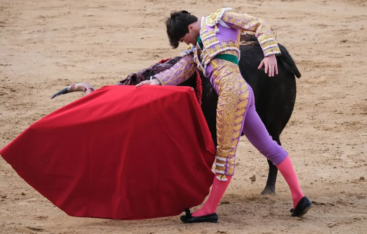 La tauromachie : débat passionné en Espagne après la suppression d’un prix de corrida.